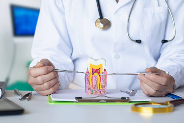 Best Emergency Dentist for Lost Fillings or Crowns in Harbor Beach, MI